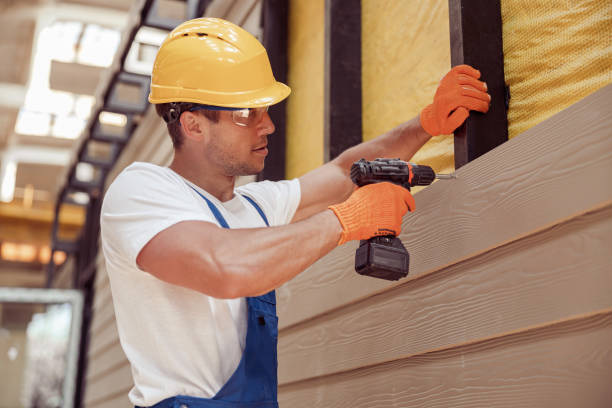 Best Brick Veneer Siding  in Tybee Island, GA