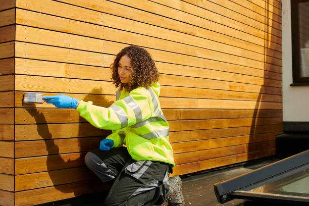 Best Custom Siding Design  in Tybee Island, GA